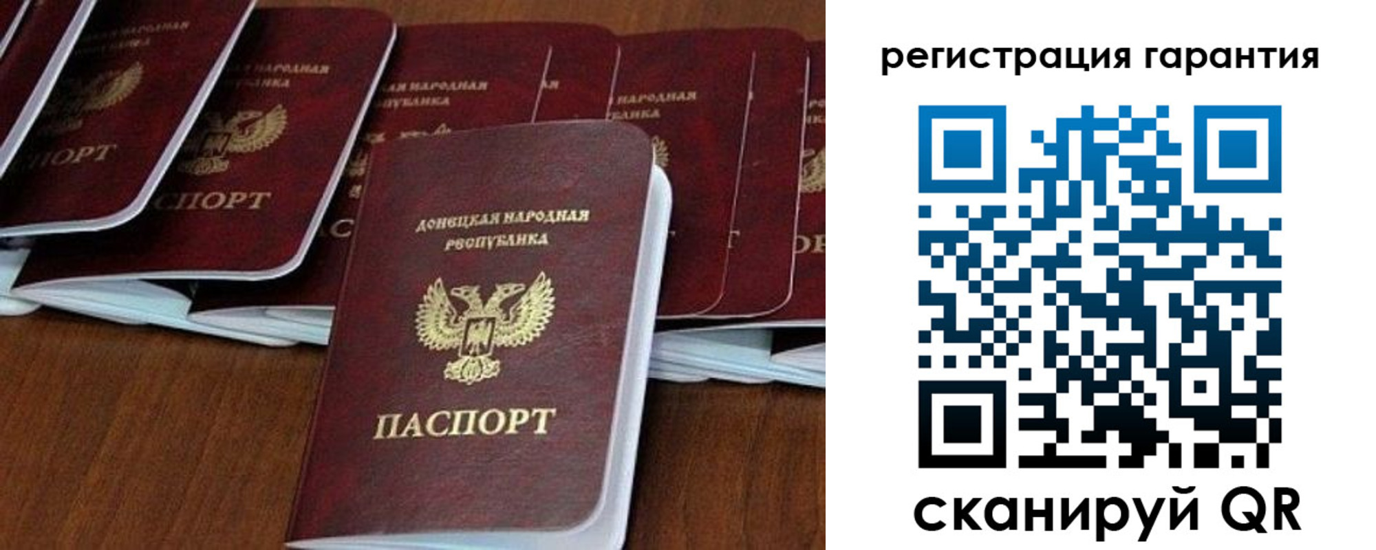 прописка в Кольчугино