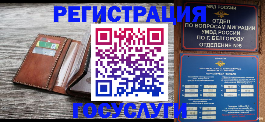 временная регистрация гарантия в Кольчугино